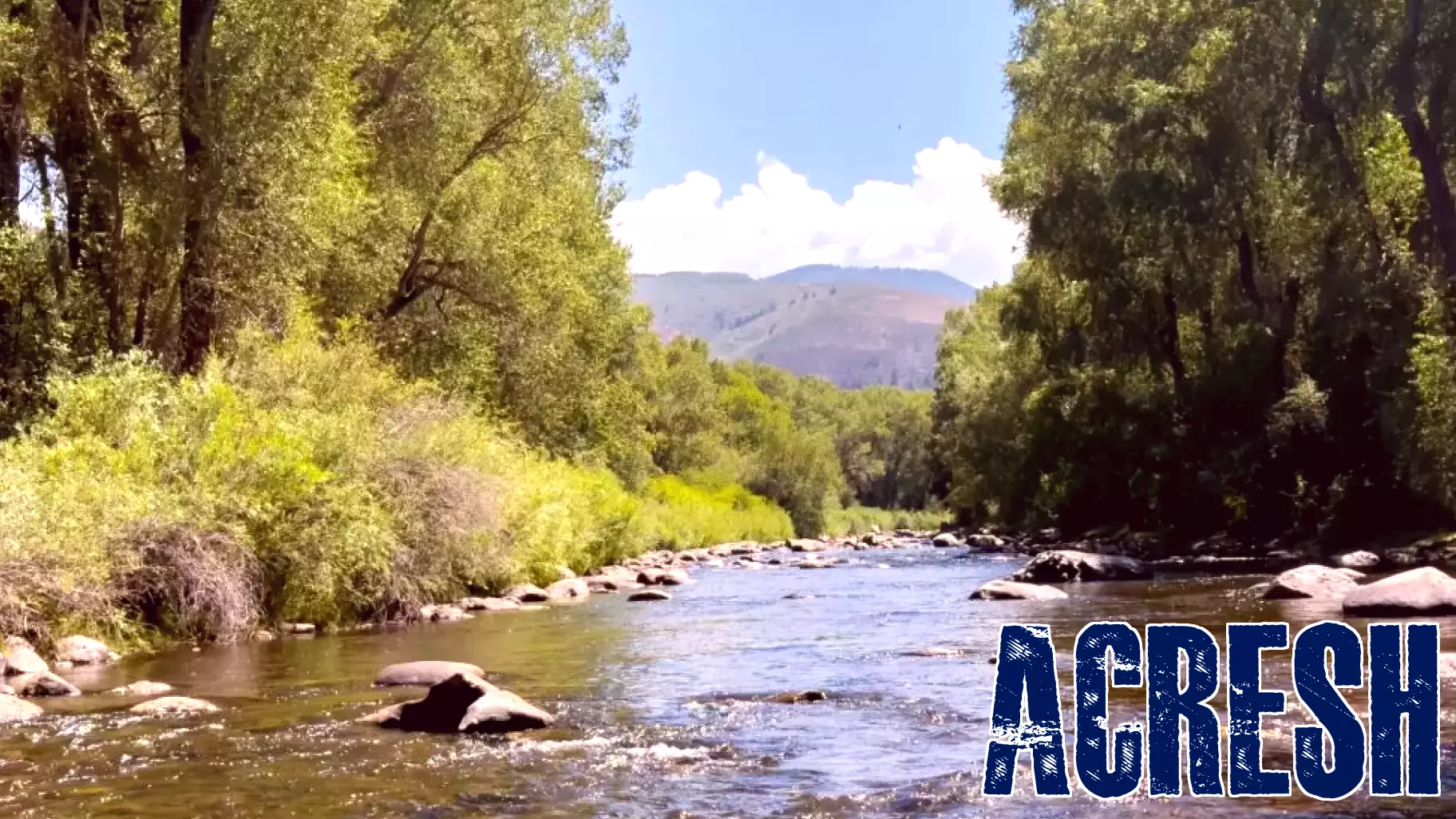 Business news: New home for Mountain Tots, a new luxury real estate firm and a donation for river conservation