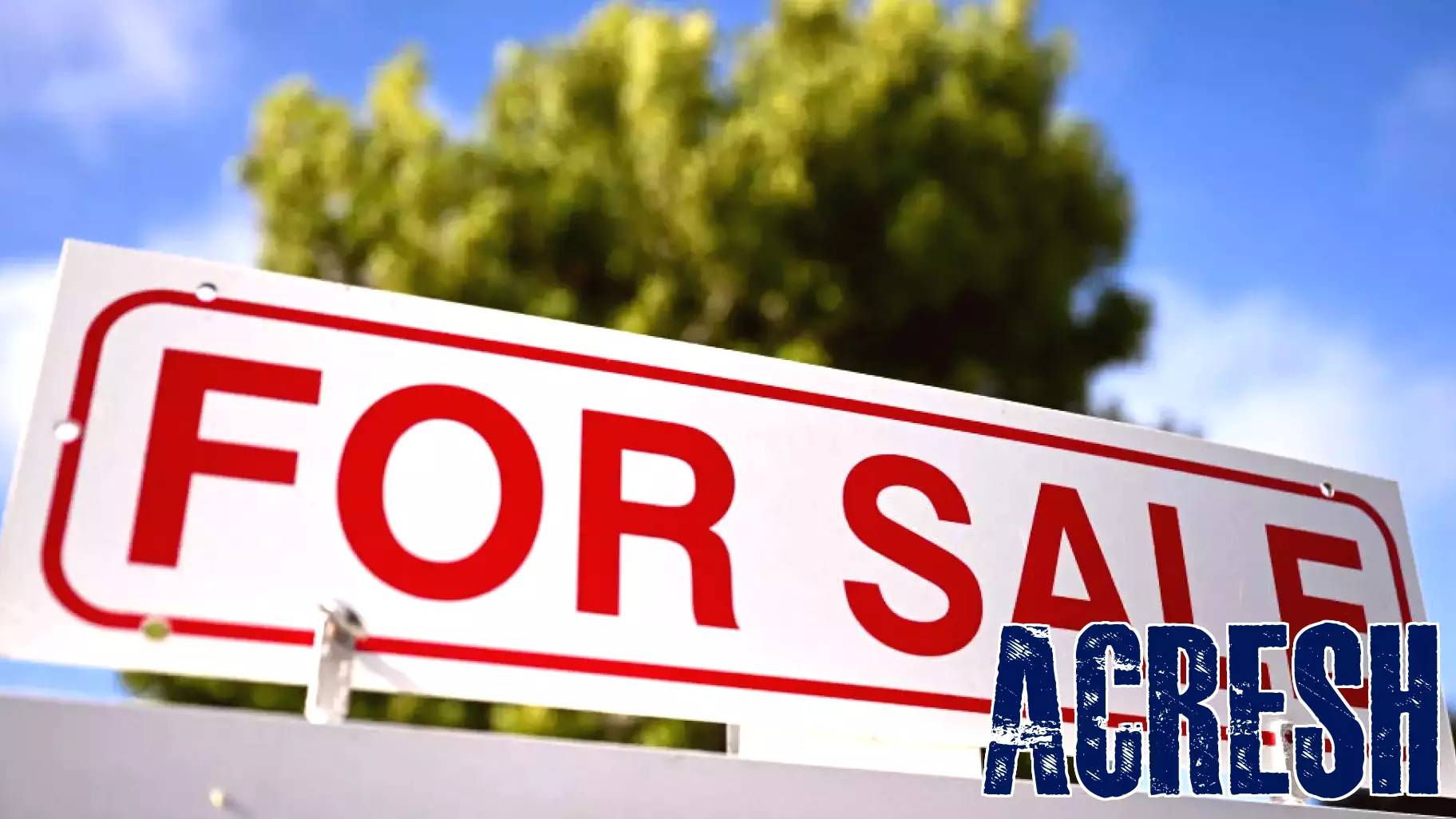 Real estate agents in Southern Nevada adapt to AI-powered future